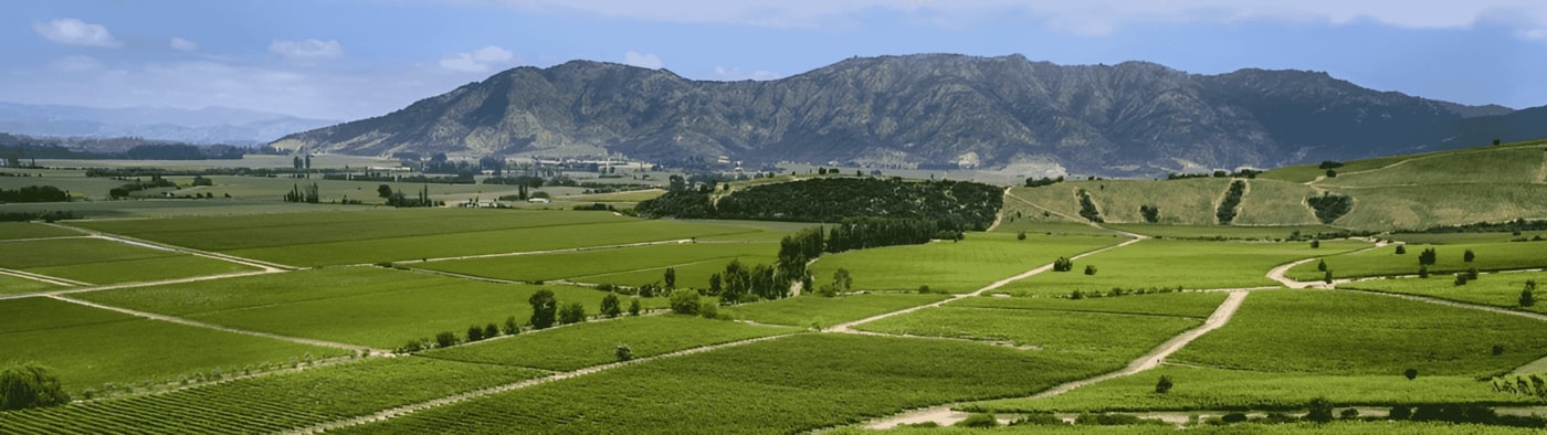 Valle Colchagua y Santa Cruz